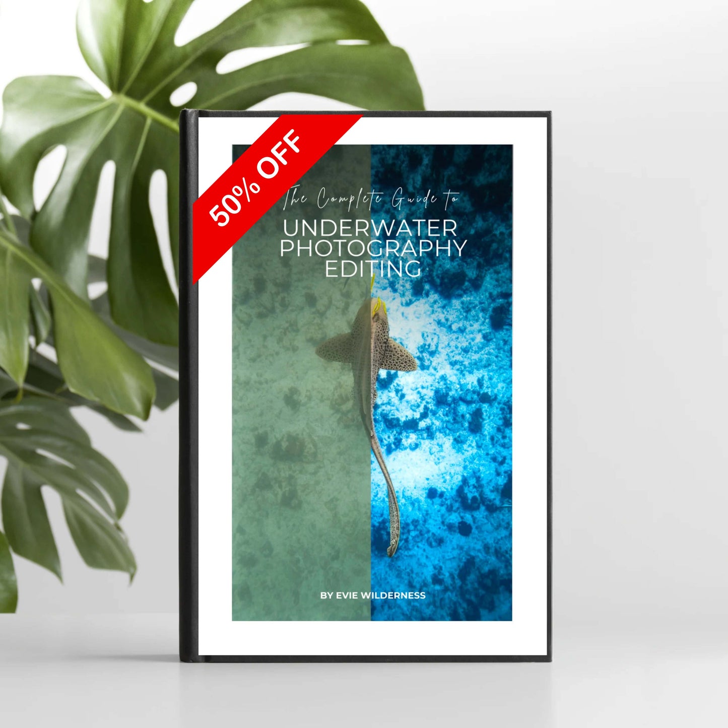 The Complete Guide to Underwater Photography Editing