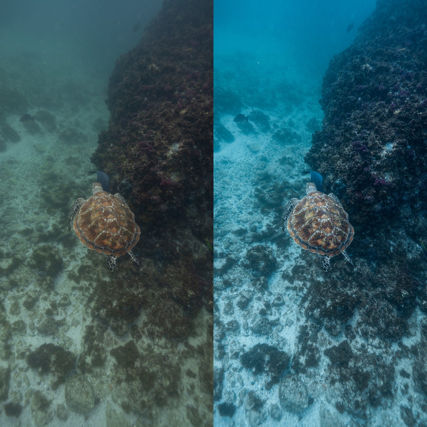 Tide & Tones – UW Intro Preset Pack