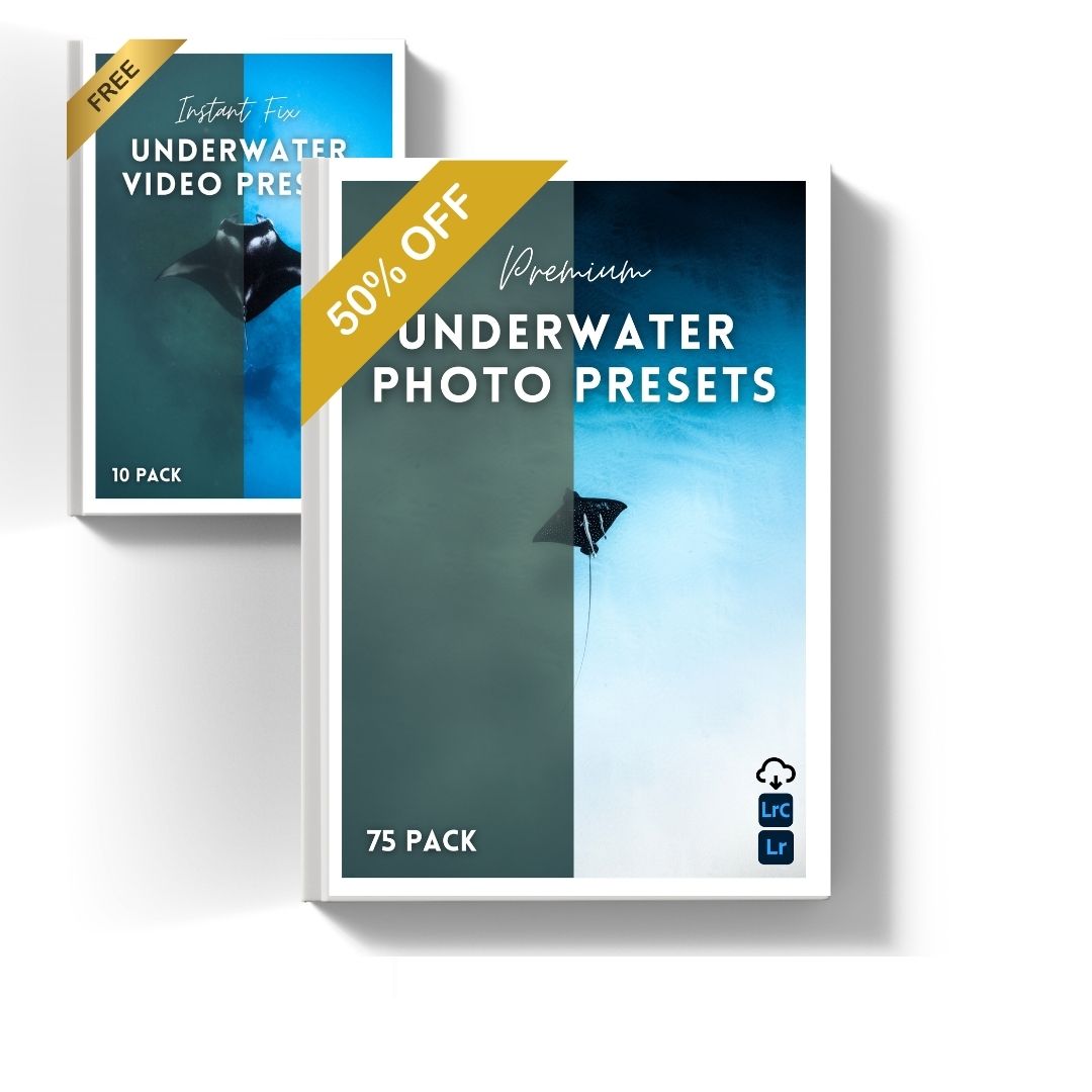 OVER 50% OFF
The Ultimate Underwater Presets