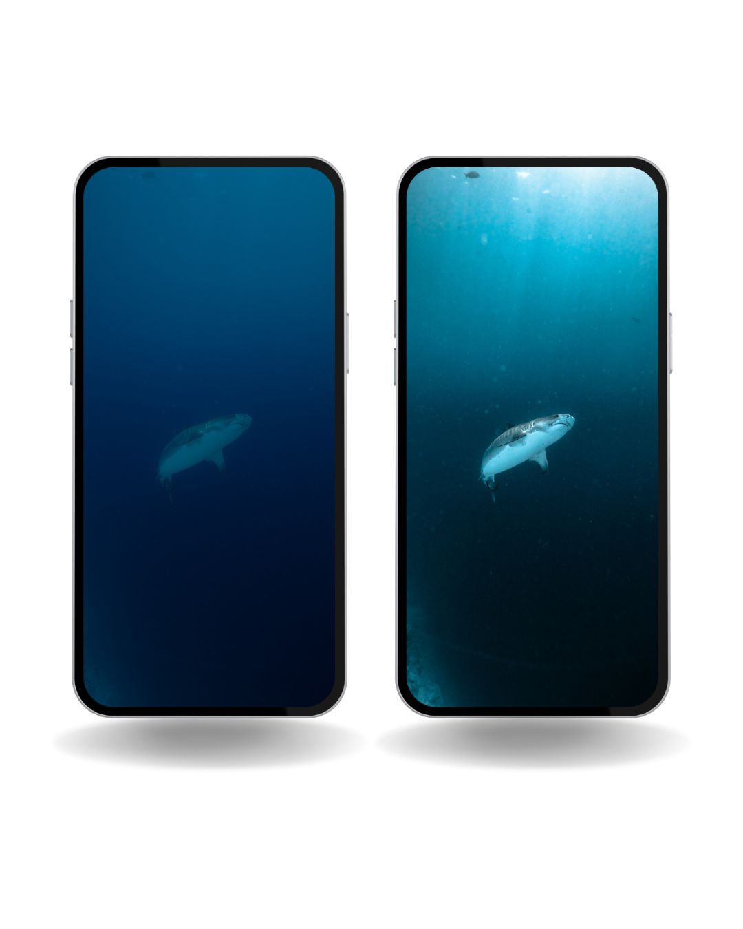 Deep Blue Presets