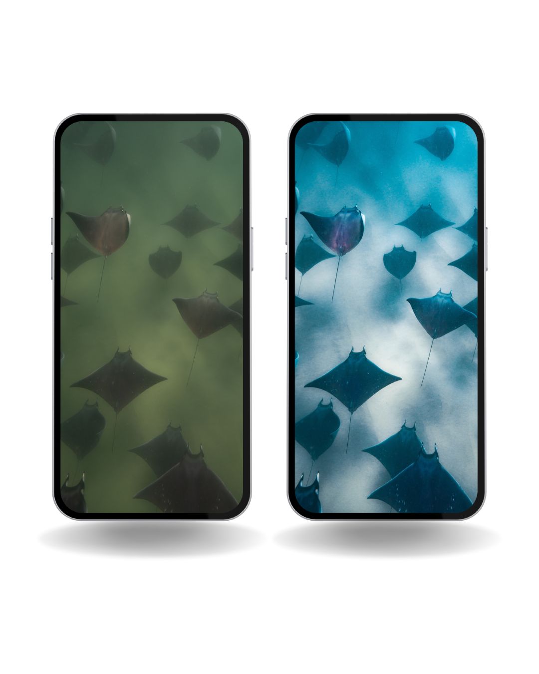 Murky Water Presets