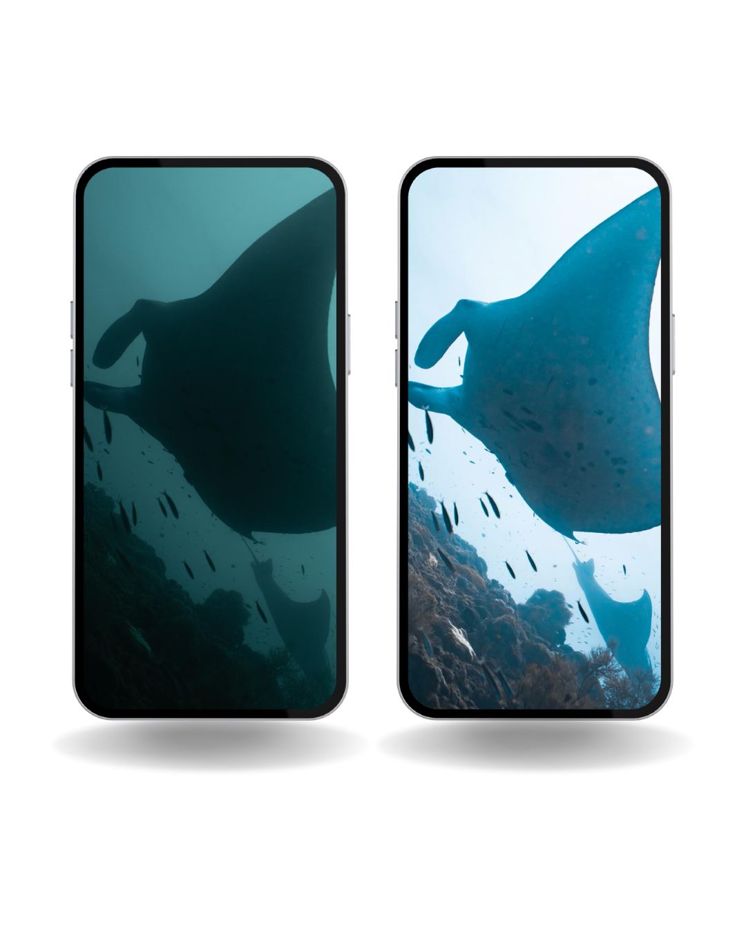 Natural Scuba Presets
