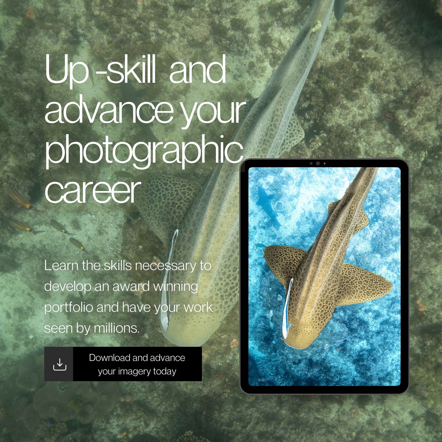 The Complete Guide to Underwater Photography Editing