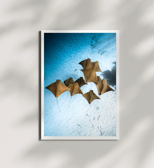 Golden Fever Print