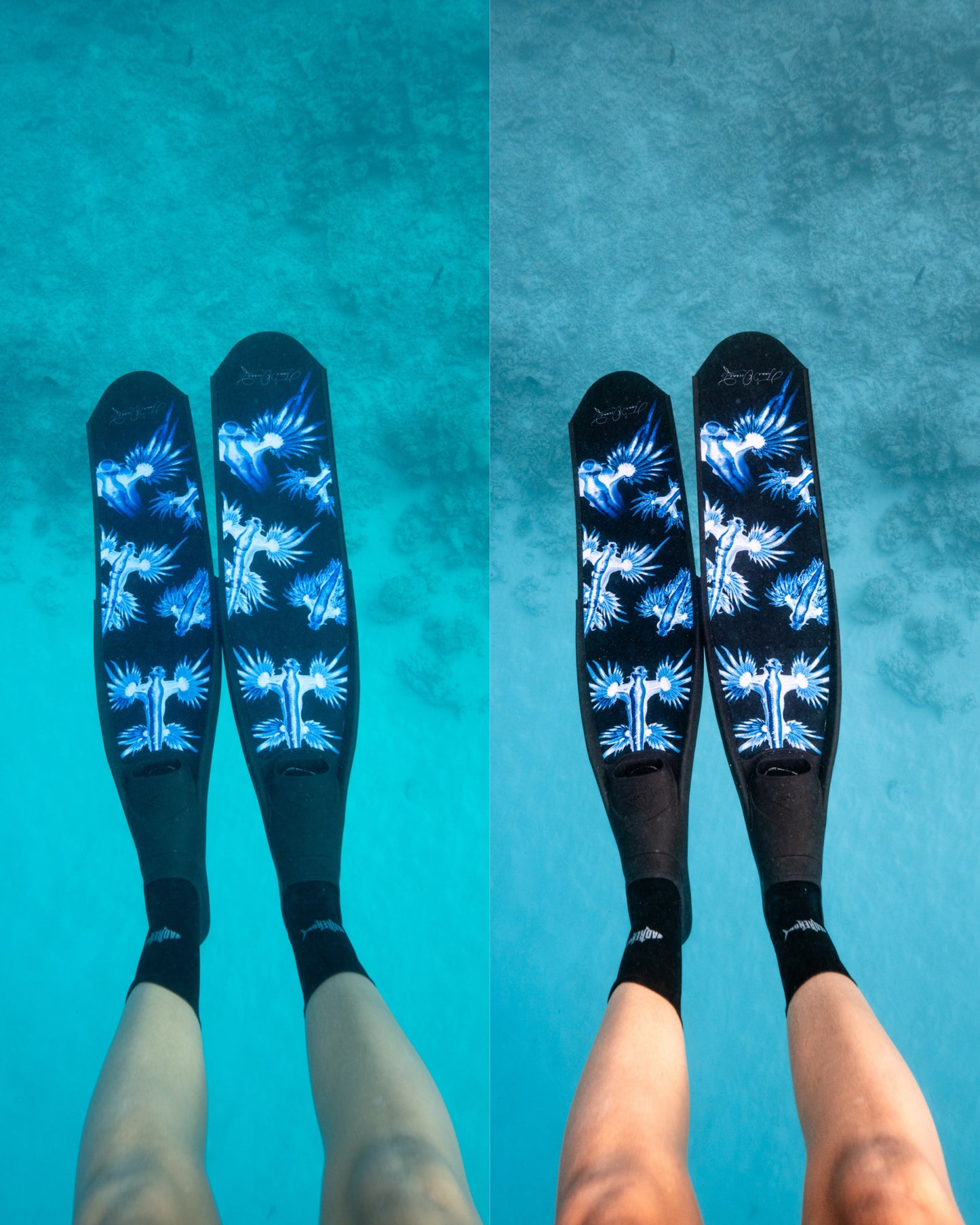 Shallow Water Presets