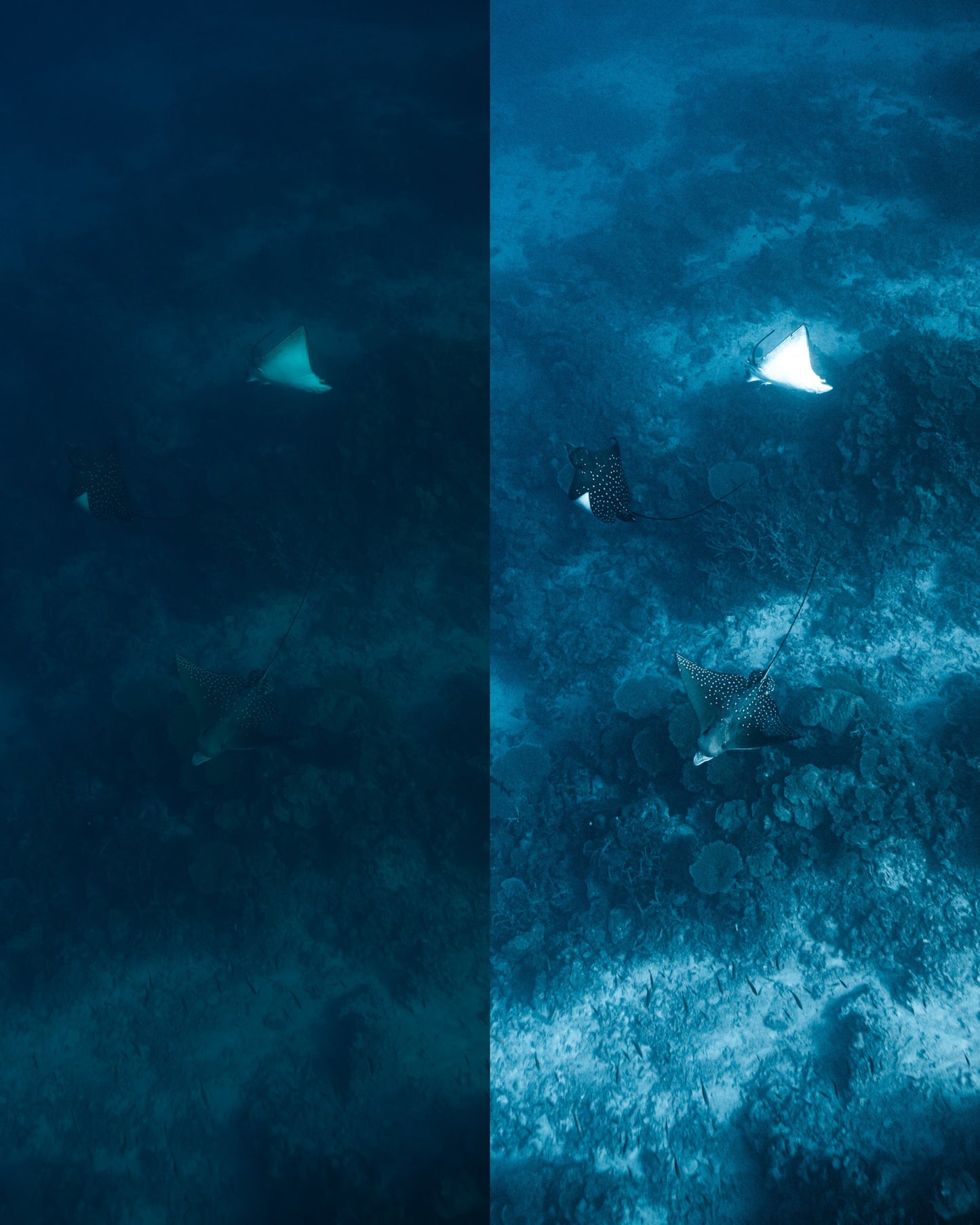 Natural Scuba Presets