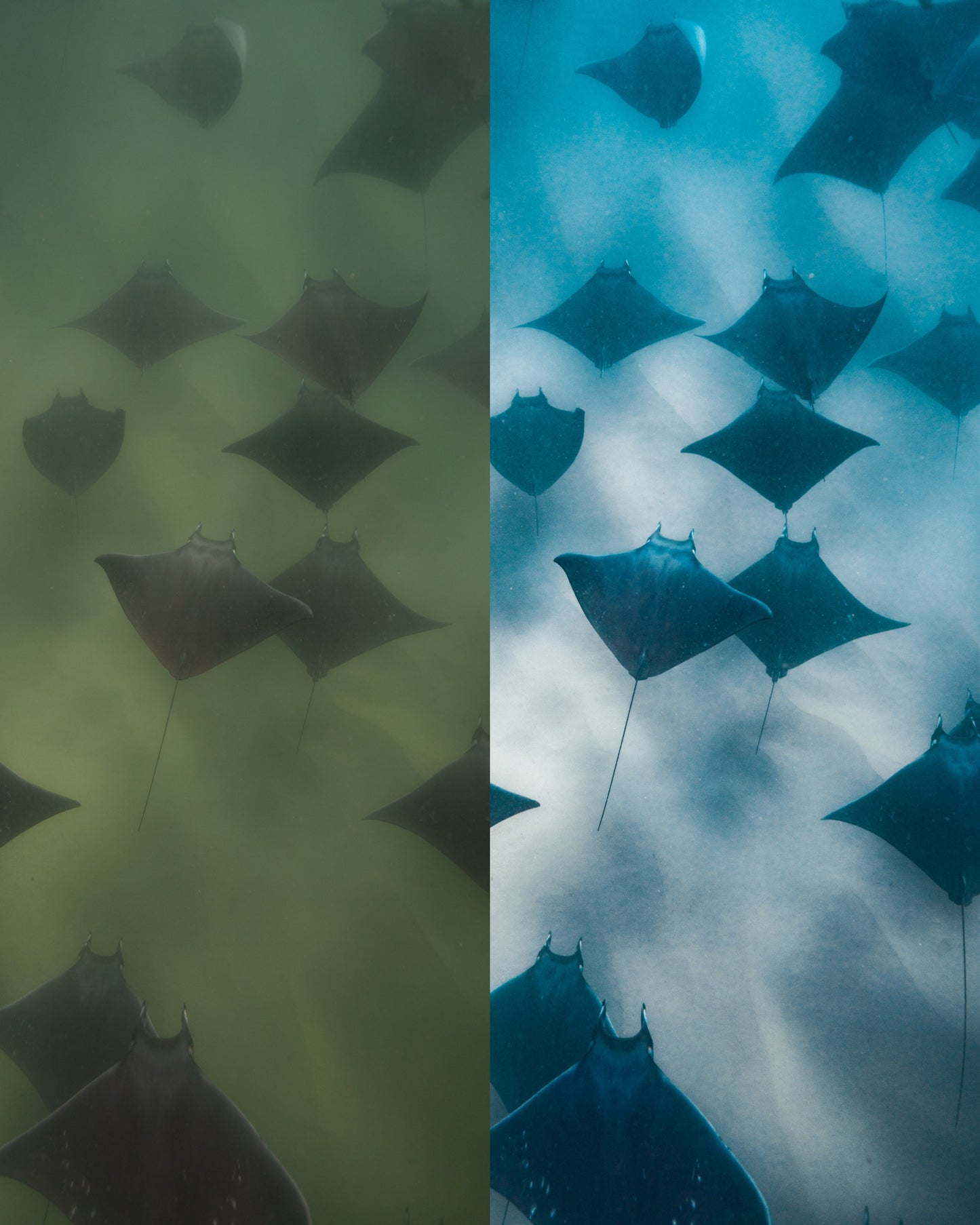 Murky Water Presets