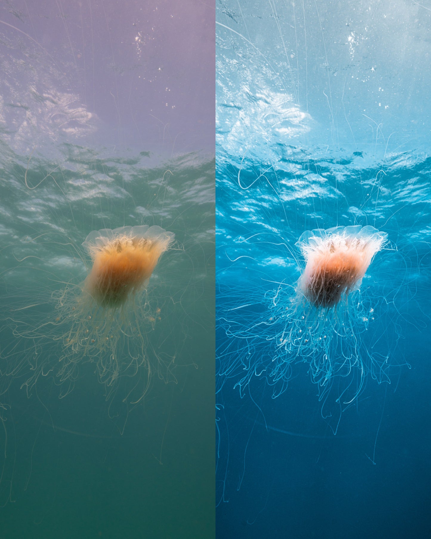 Murky Water Presets