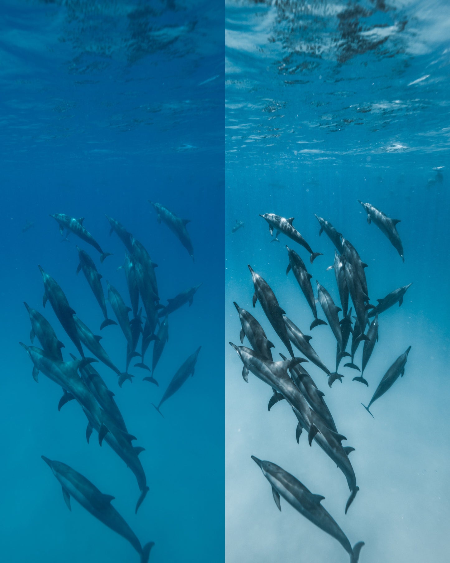 Deep Blue Presets