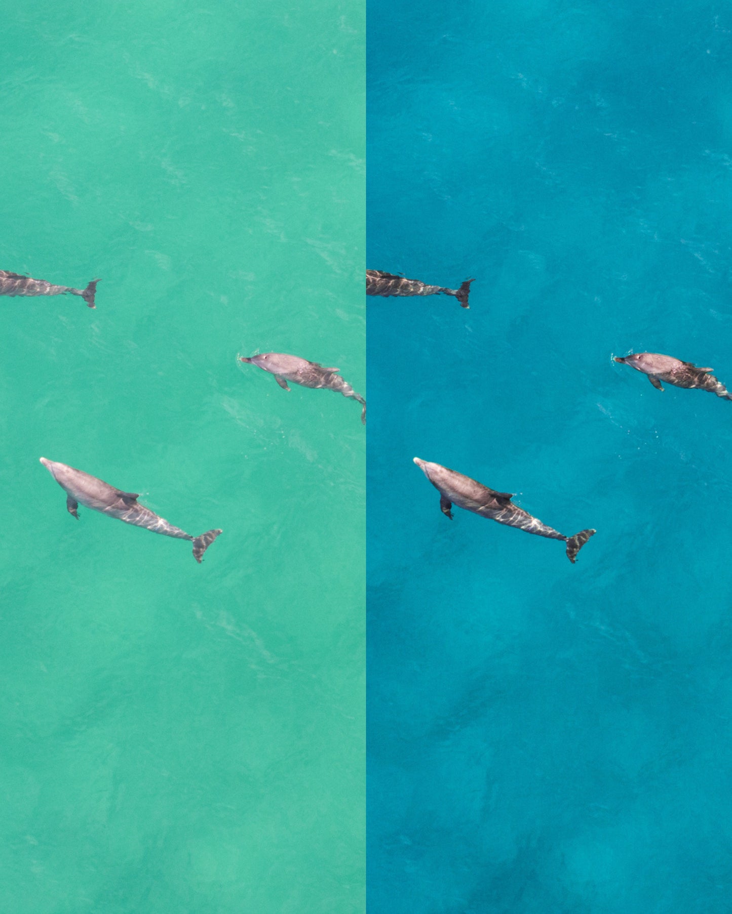 Ocean Drone Presets