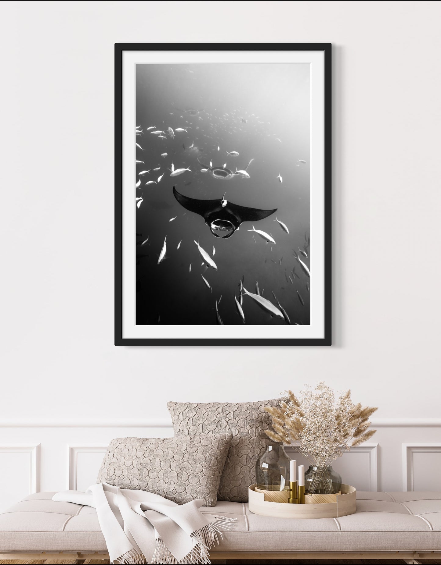 Black and White Manta In School Digital Print