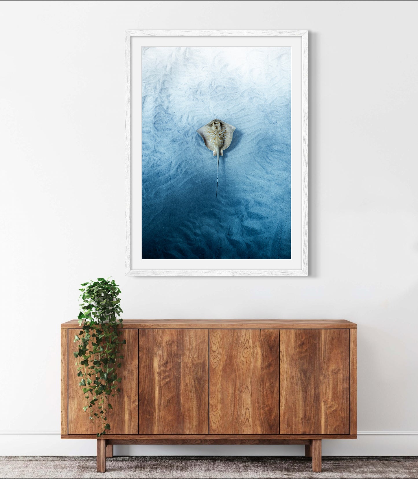 Little Sting Ray Digital Print