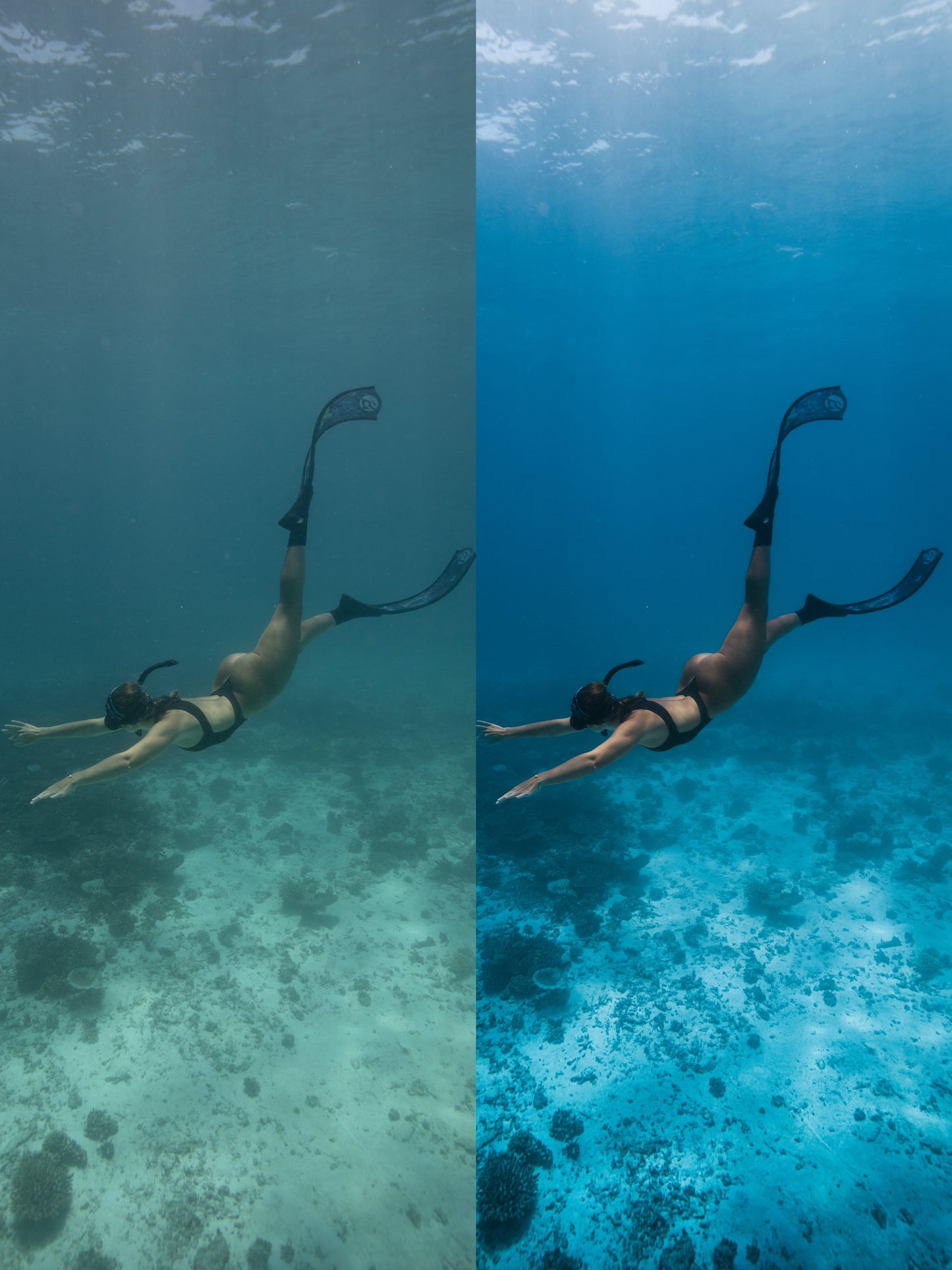OVER 50% OFF
The Ultimate Underwater Presets