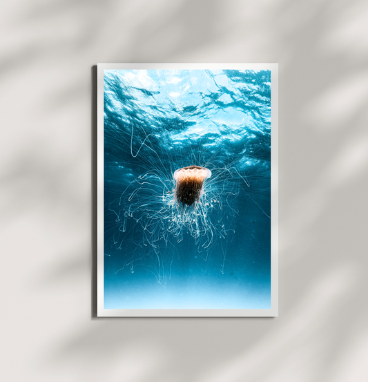 Lions Mane Print