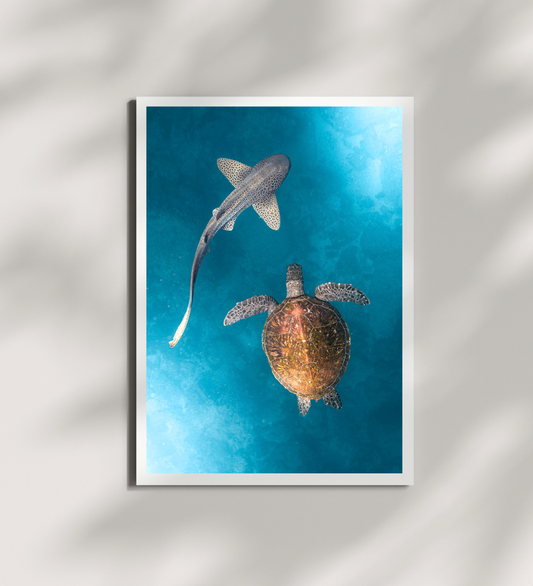 Ocean Synergy Print