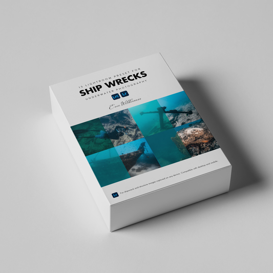 Ship Wreck Presets