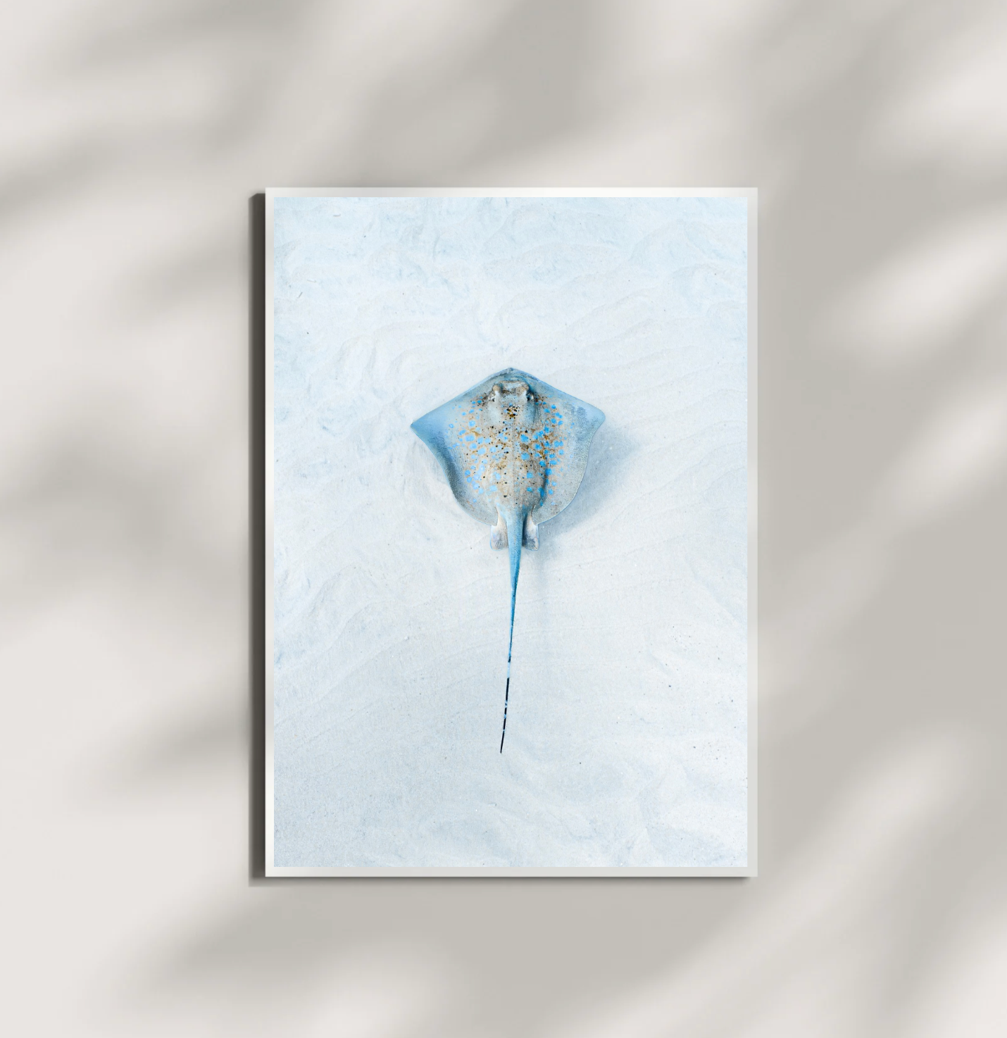 Blue Spotty Ray Print