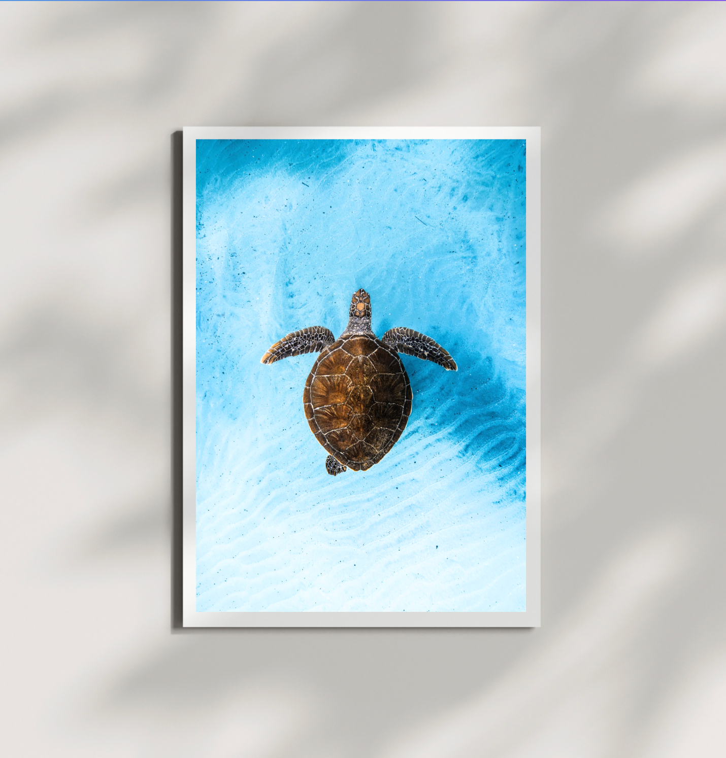 Green Sea Beauty Print