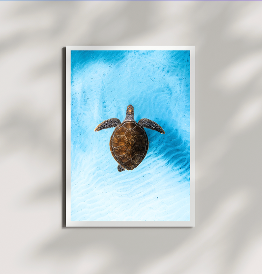 Green Sea Beauty Print