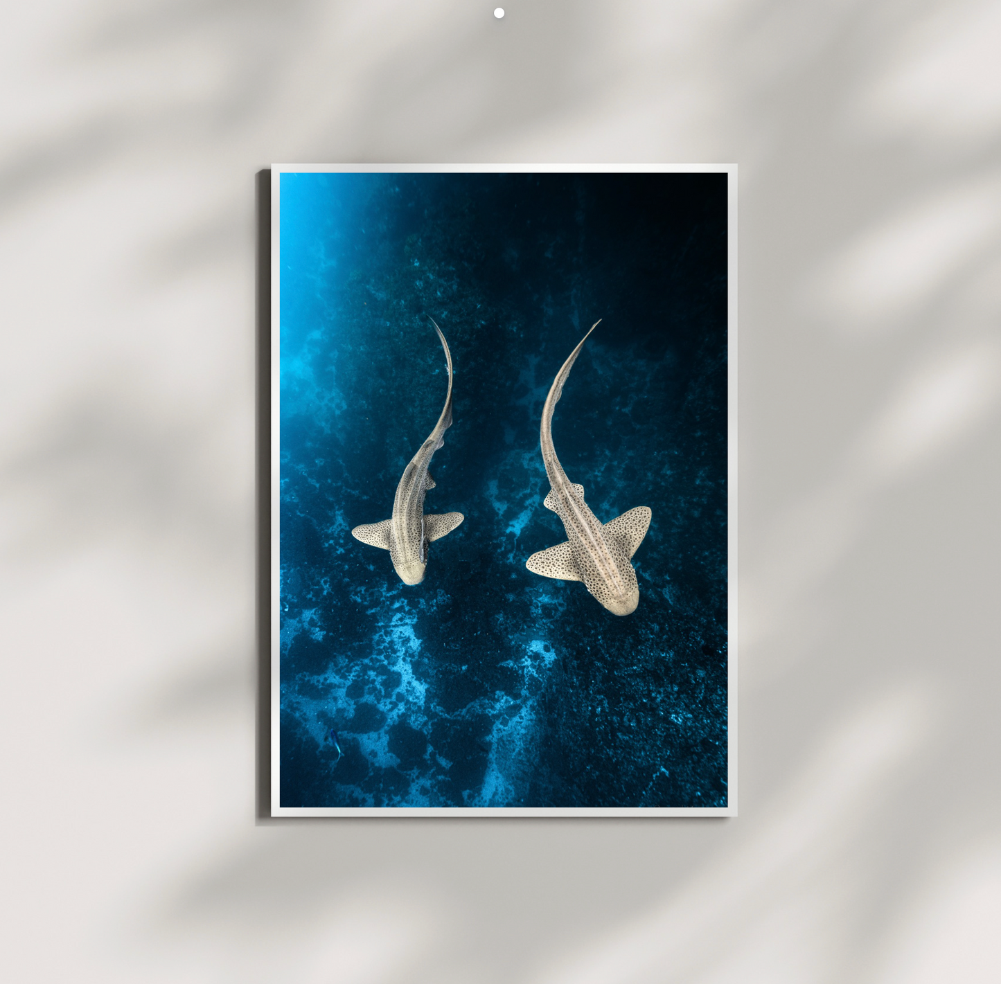 Seeing Double Print