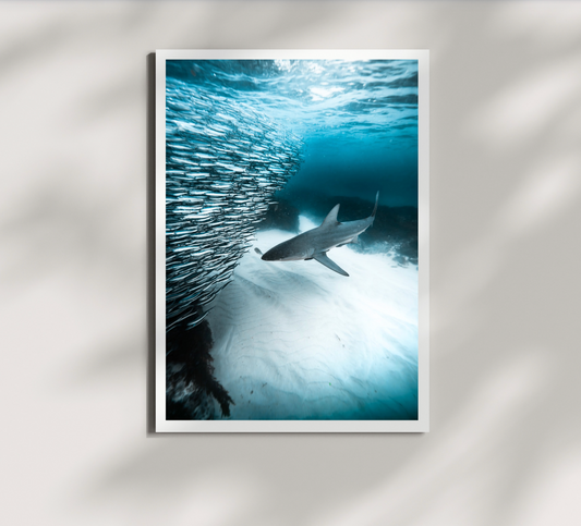 The Hunter Print